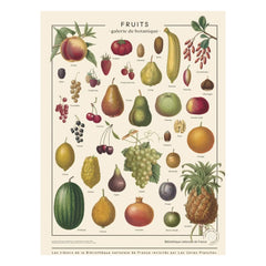 Les Jolies Planches - Póster de frutas