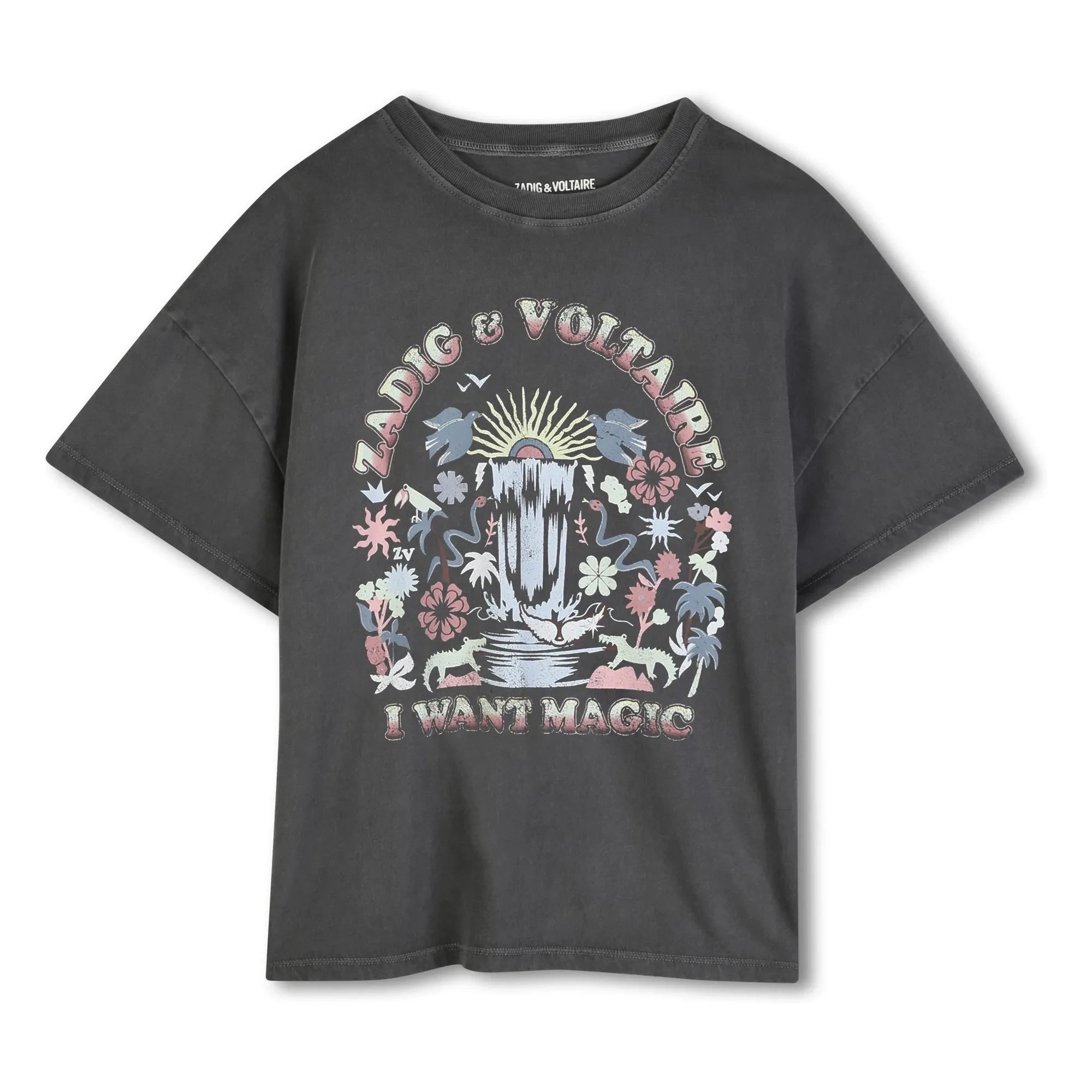 Zadig & Voltaire - Camiseta Extragrande I Want Magic | Gris Oscuro