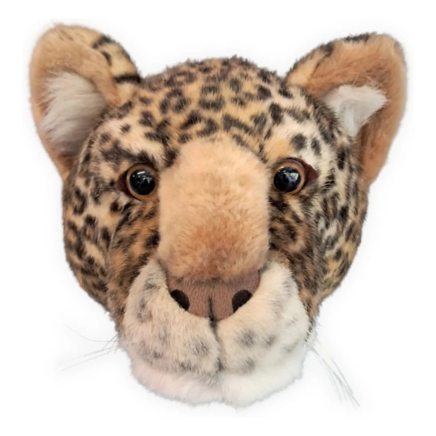 Wild & Soft - Trofeo Leopardo | Marrón