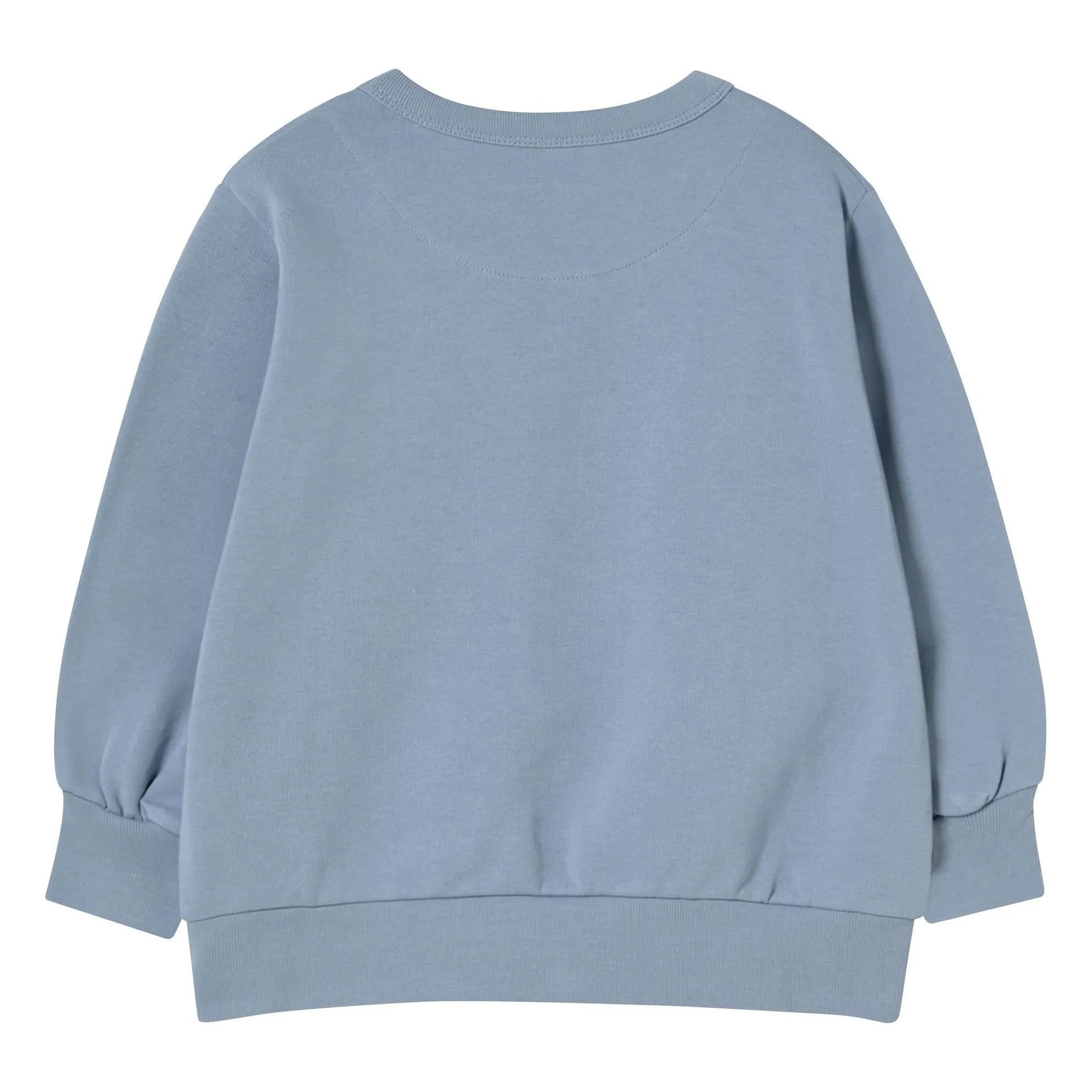 Tinycottons - Sudadera Tiny de algodón orgánico | Gris azulado