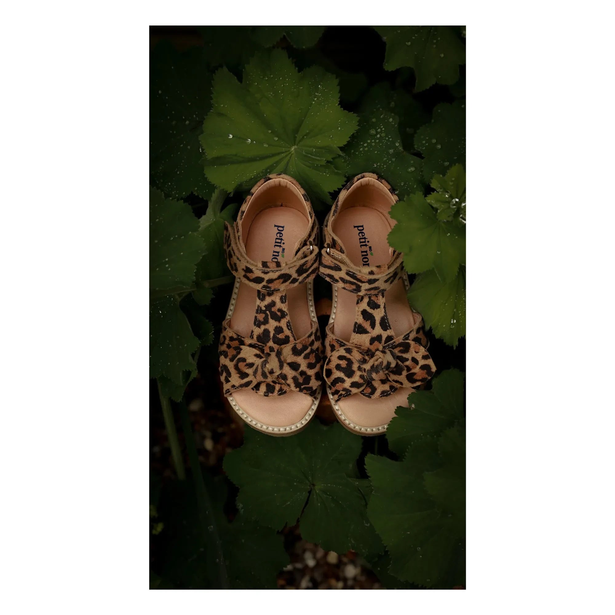Petit Nord - Sandalias con lazo de leopardo | Marrón