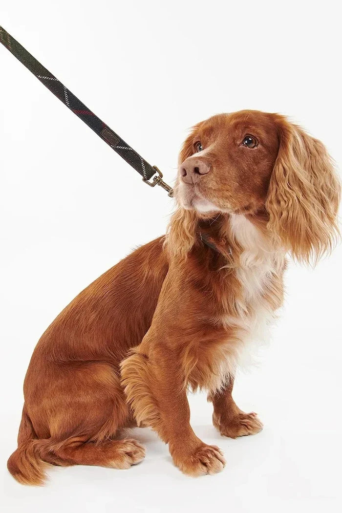 Collar para perro Barbour Classic Tartan