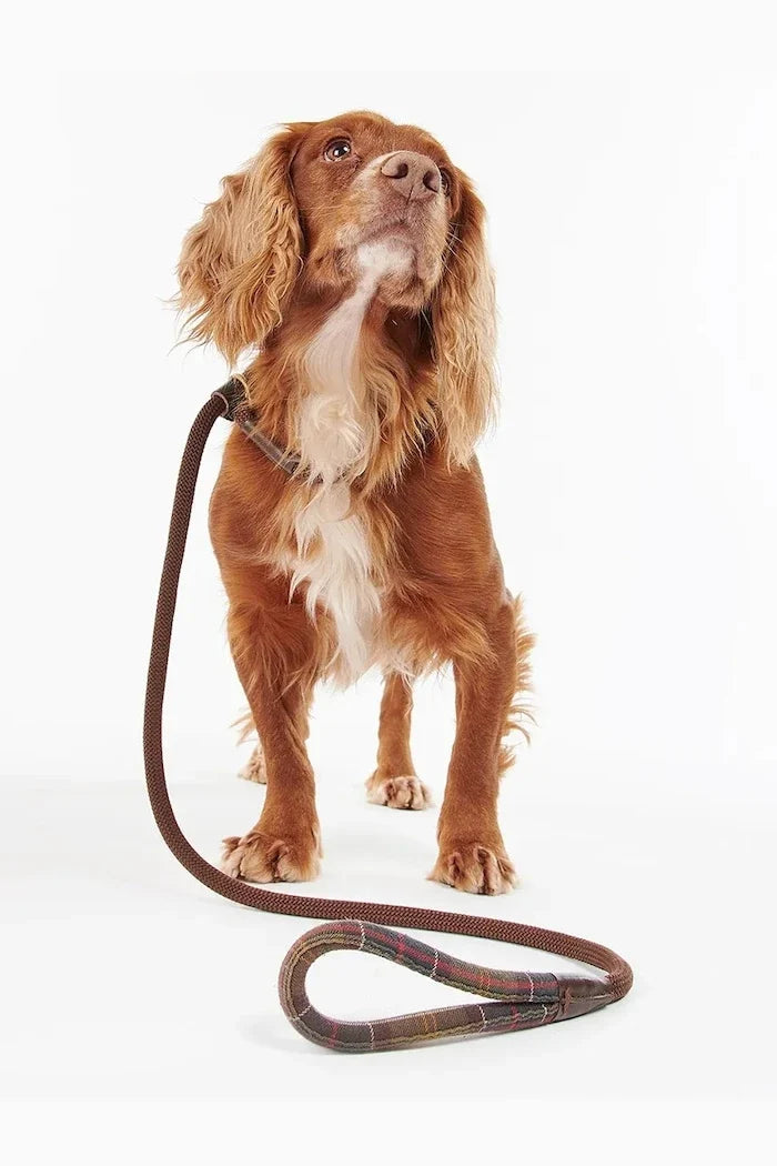 Correa para perros con detalles de tartán Barbour
