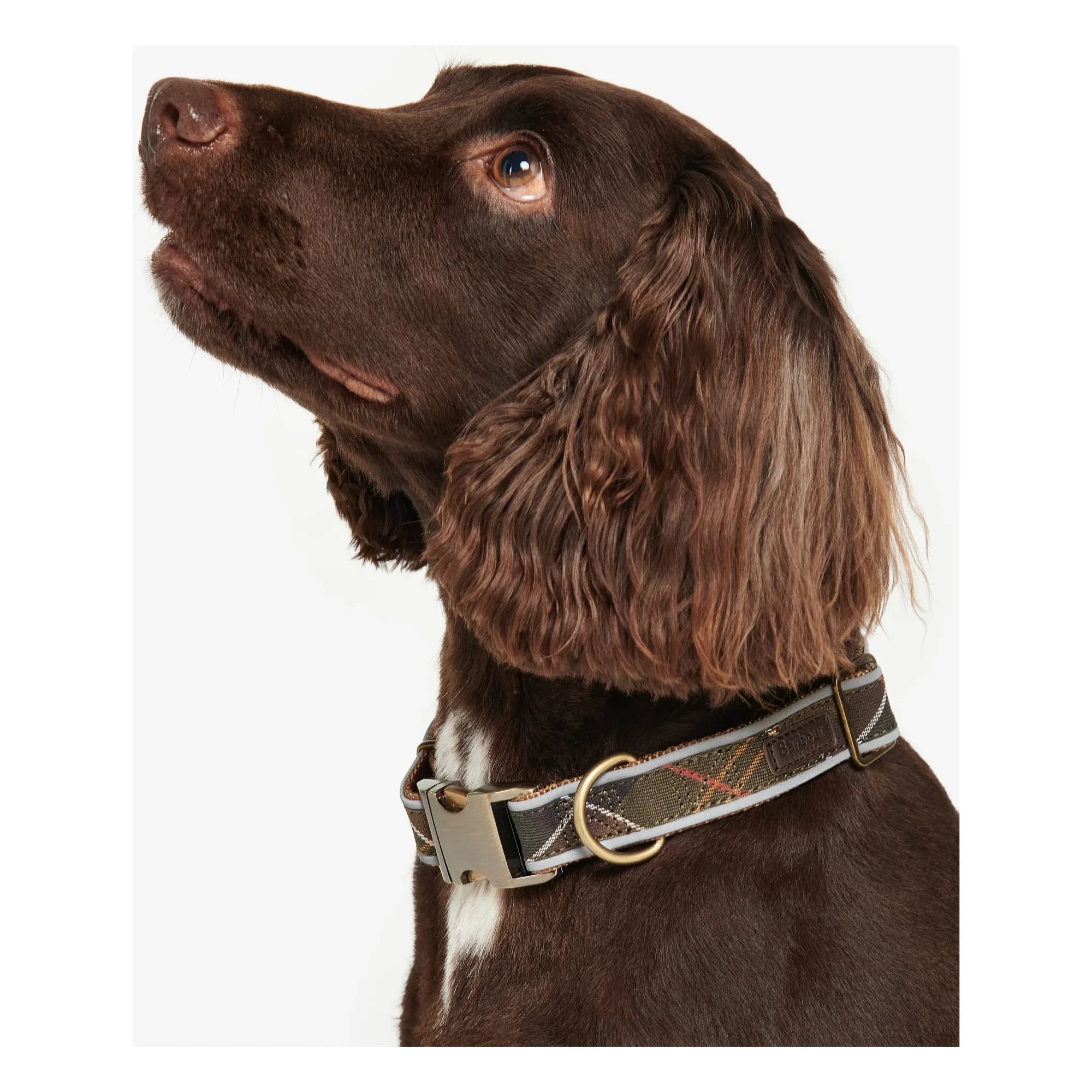 Barbour - Collar para perro reflectante de tartán | Marrón oscuro