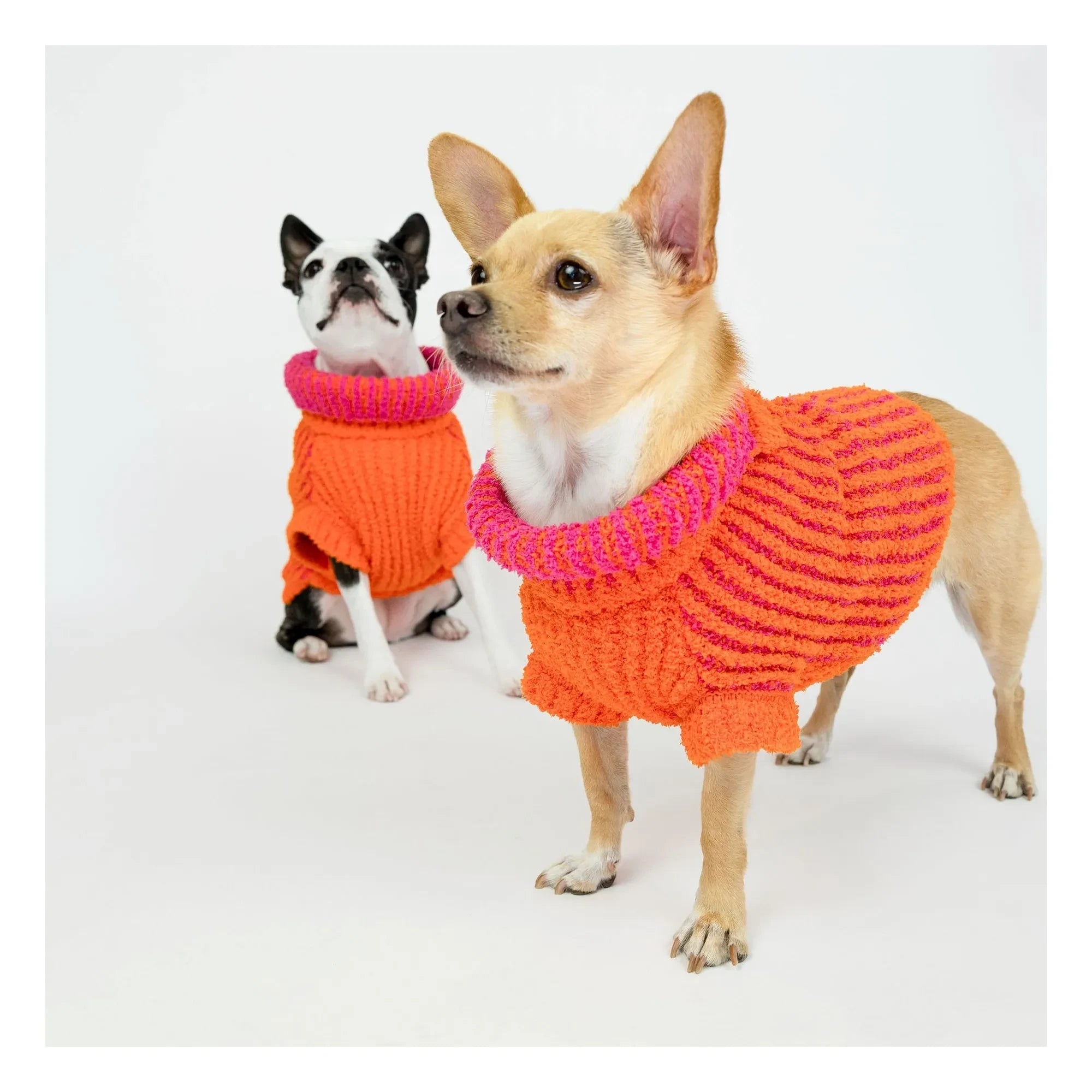 The Furry Folks - Pull Rib | Naranja