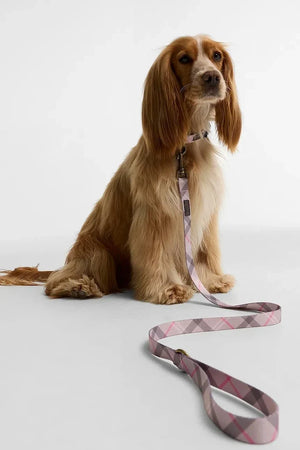 Correa de Perro Barbour