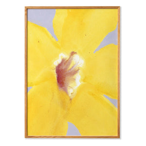 Paper Collective - In Full Bloom 01 poster, Liat Greenberg | Amarillo