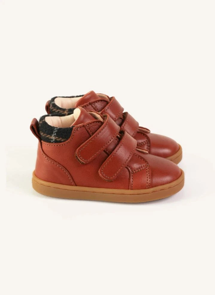 Lazare - Hector Tartan Zapatillas de caña alta | Hazel