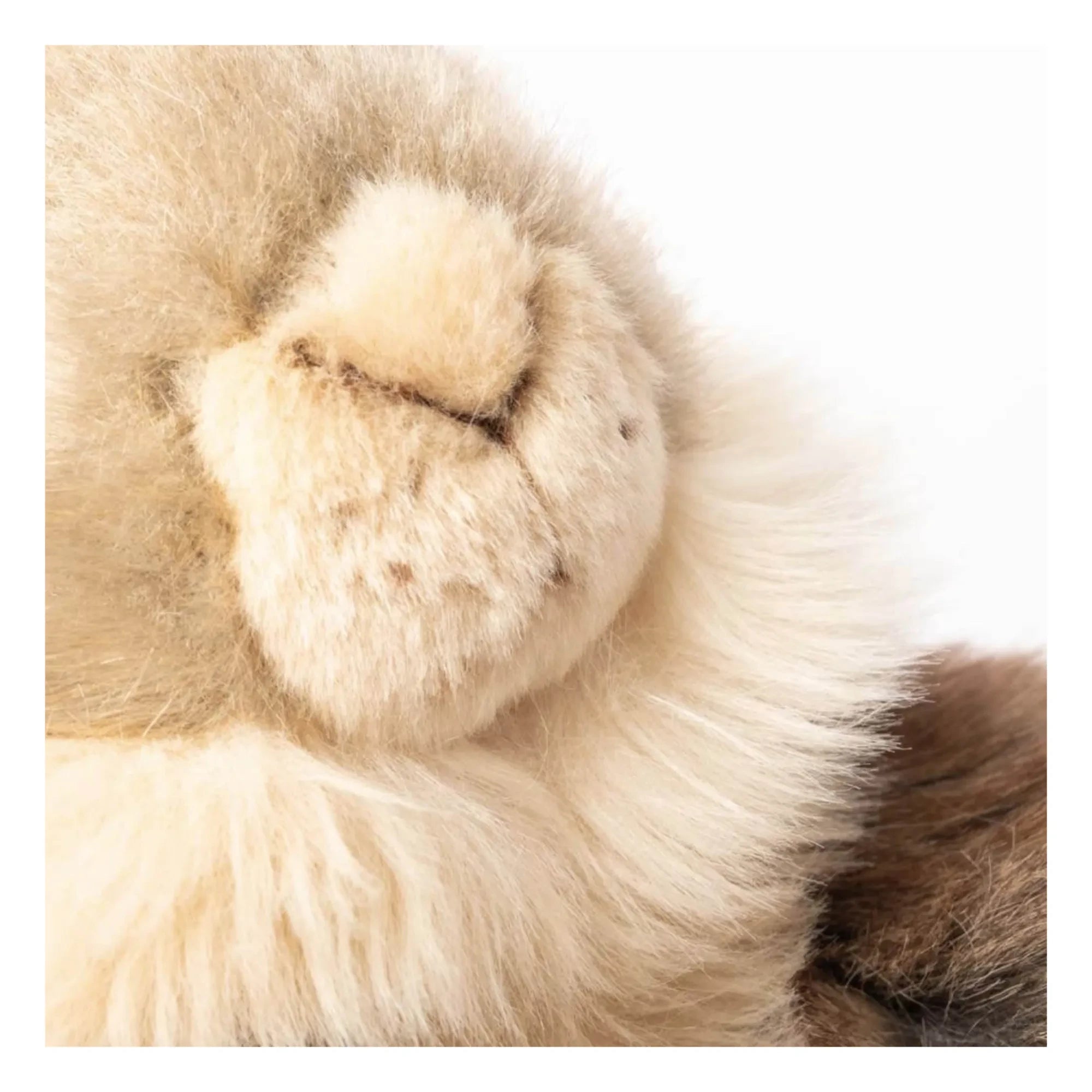 La Pelucherie - Peluche de ardilla terrestre Julie | Marrón