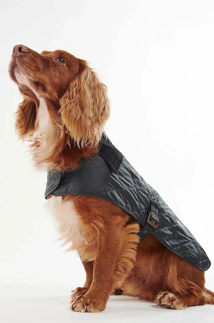 Chaqueta para perro Barbour