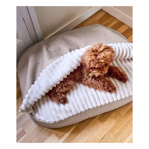 Cafide - Cama para perros Maso | Beige
