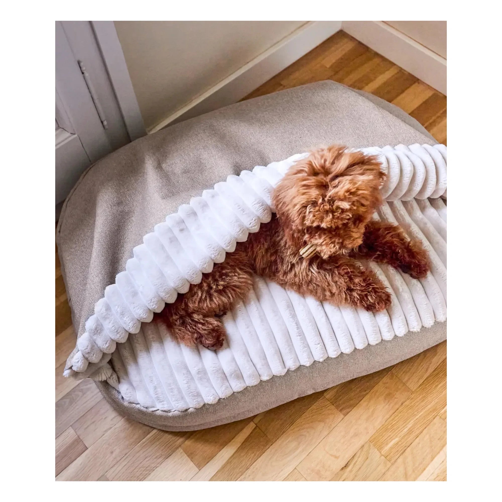 Cafide - Cama para perros Maso | Beige
