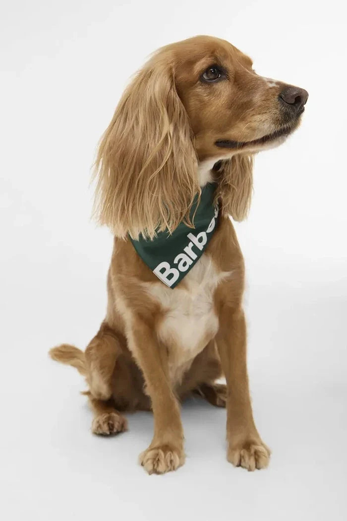 Bandana Barbour para Mascota L/XL