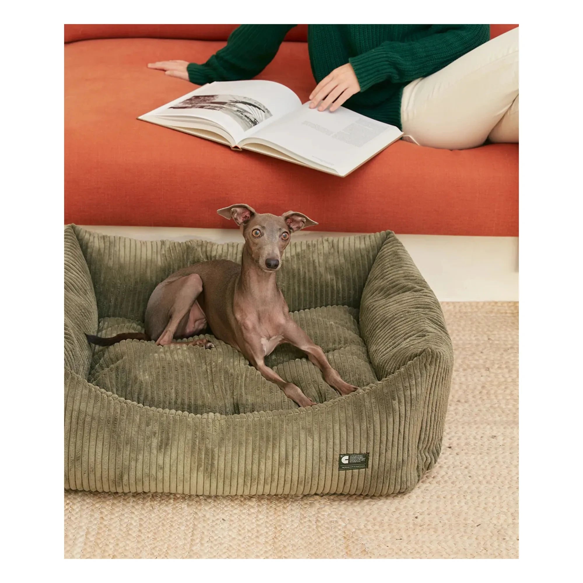 Cafide - Cama para perro de terciopelo Snozy | Verde