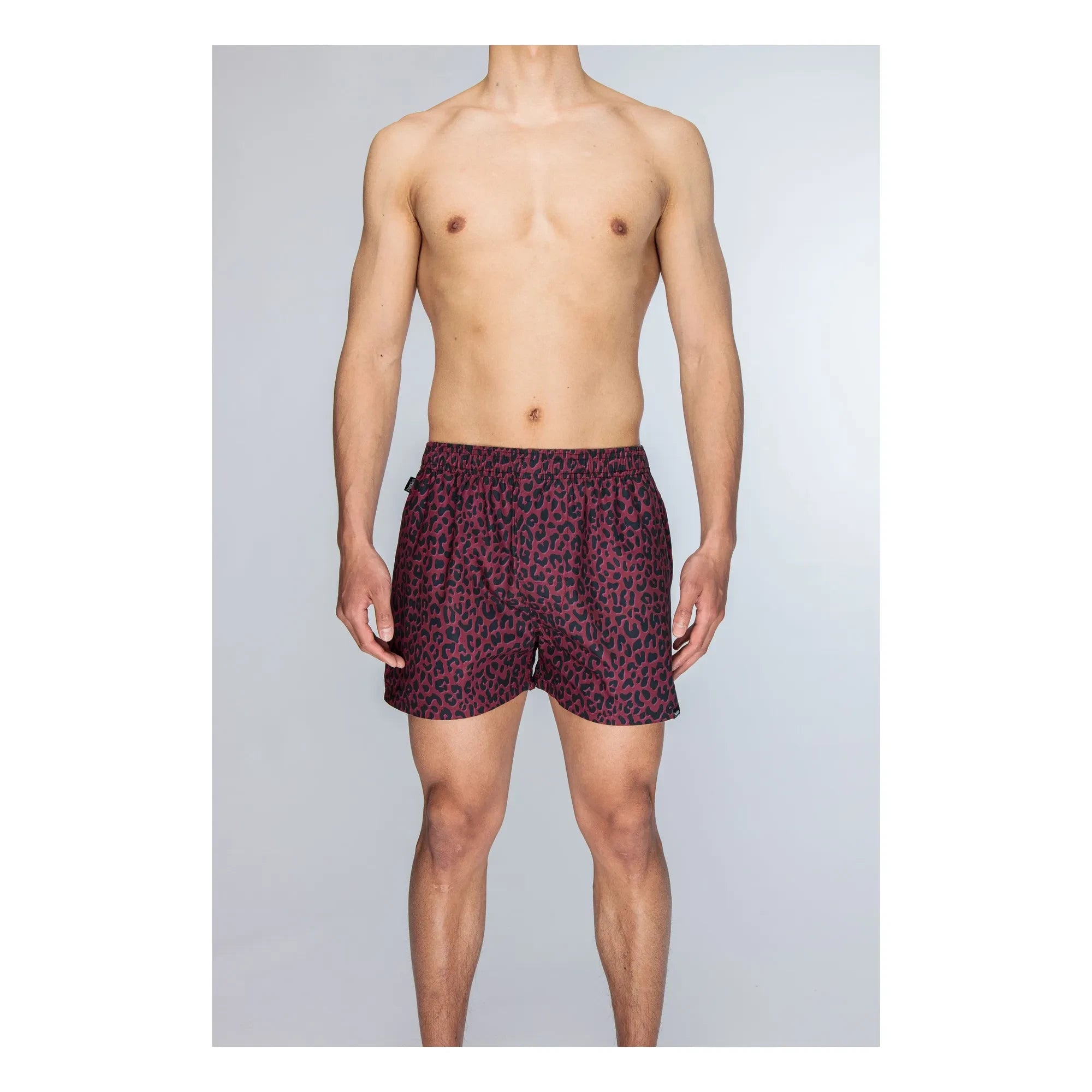 Pockies - Shorts Tiger | Rojo