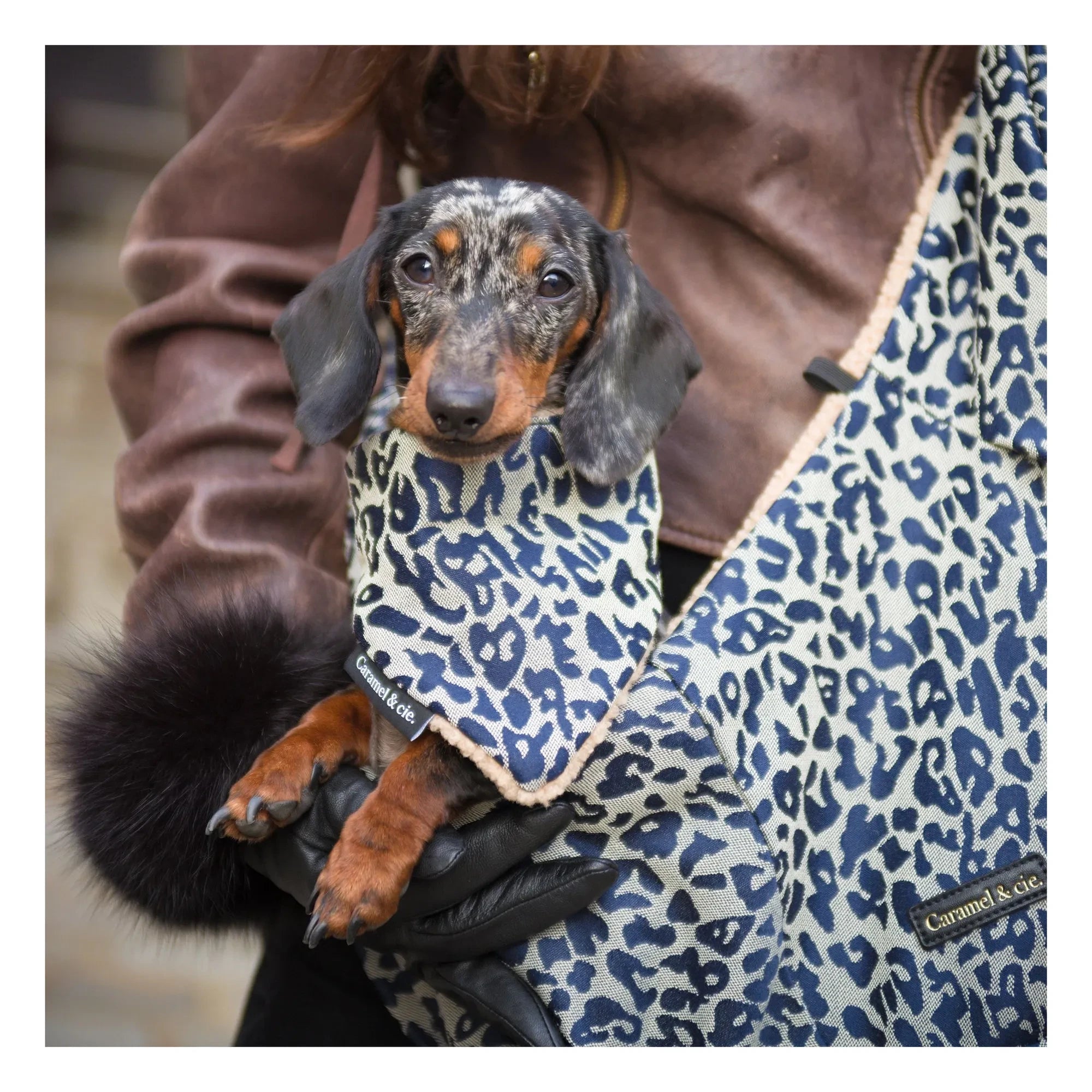 Caramel & Cie - Bolso bandolera Promenade con perro leopardo | Gris