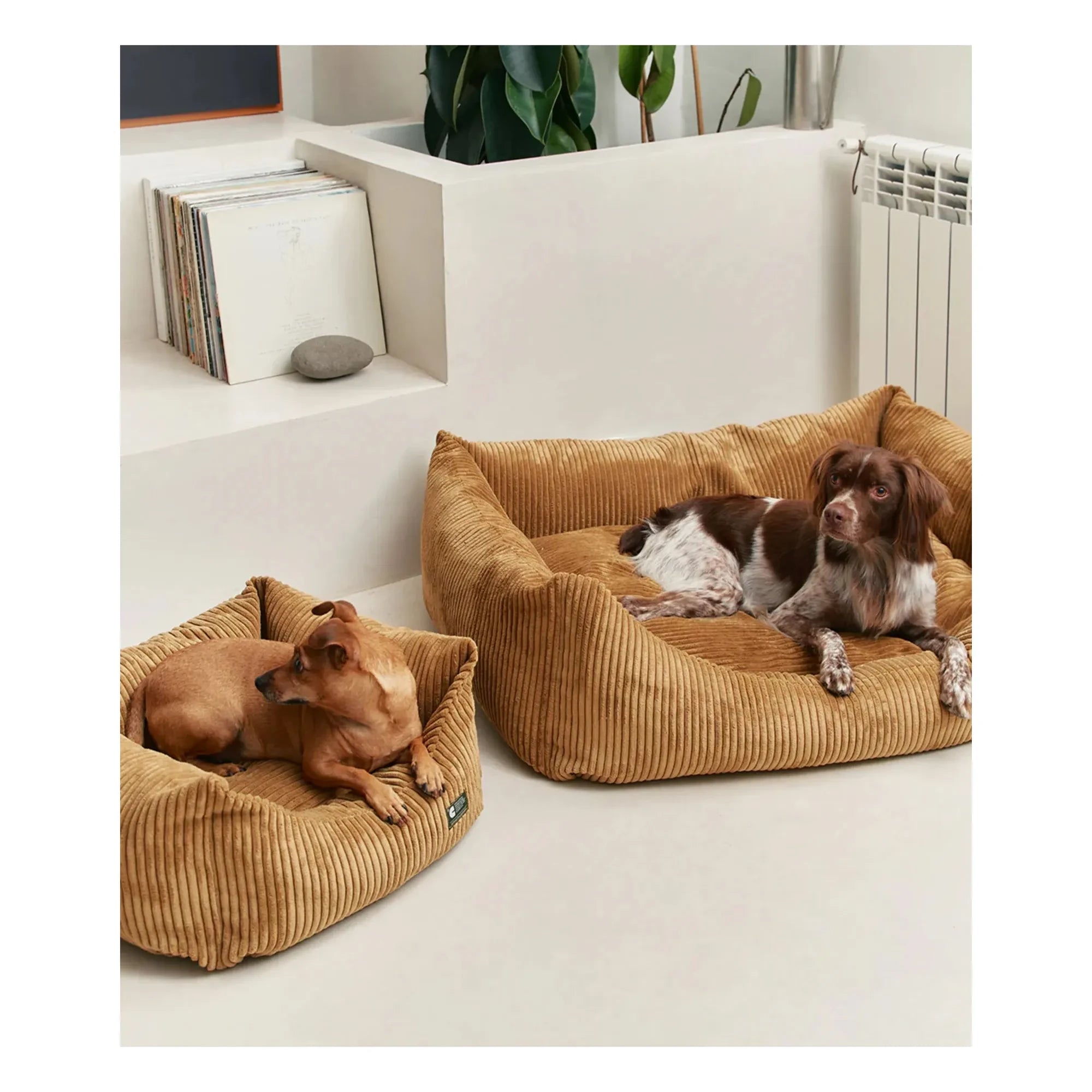 Cafide - Cama para perros de terciopelo Snozy | Mostaza