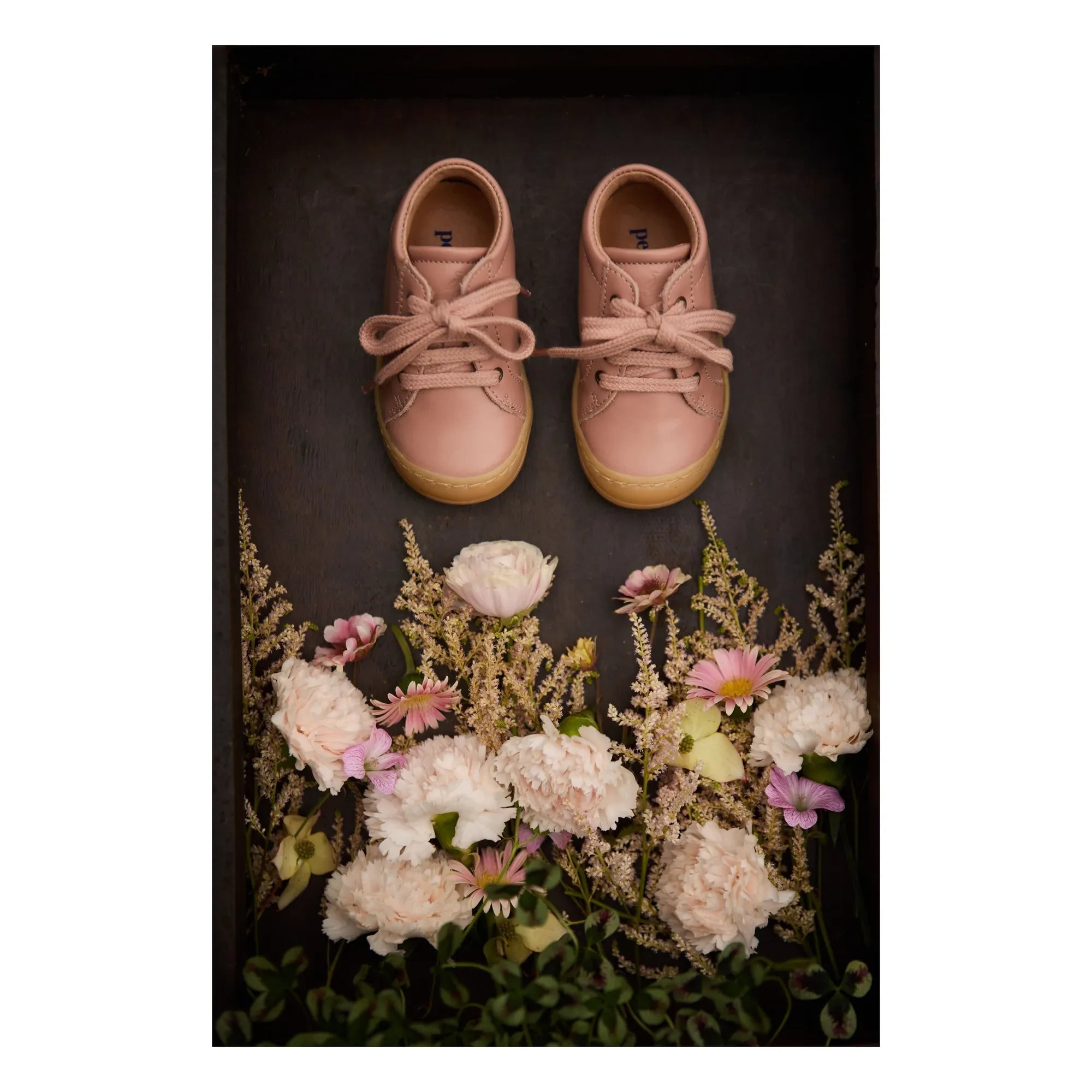 Petit Nord - Zapatillas deportivas con cordones de diario | Rosa