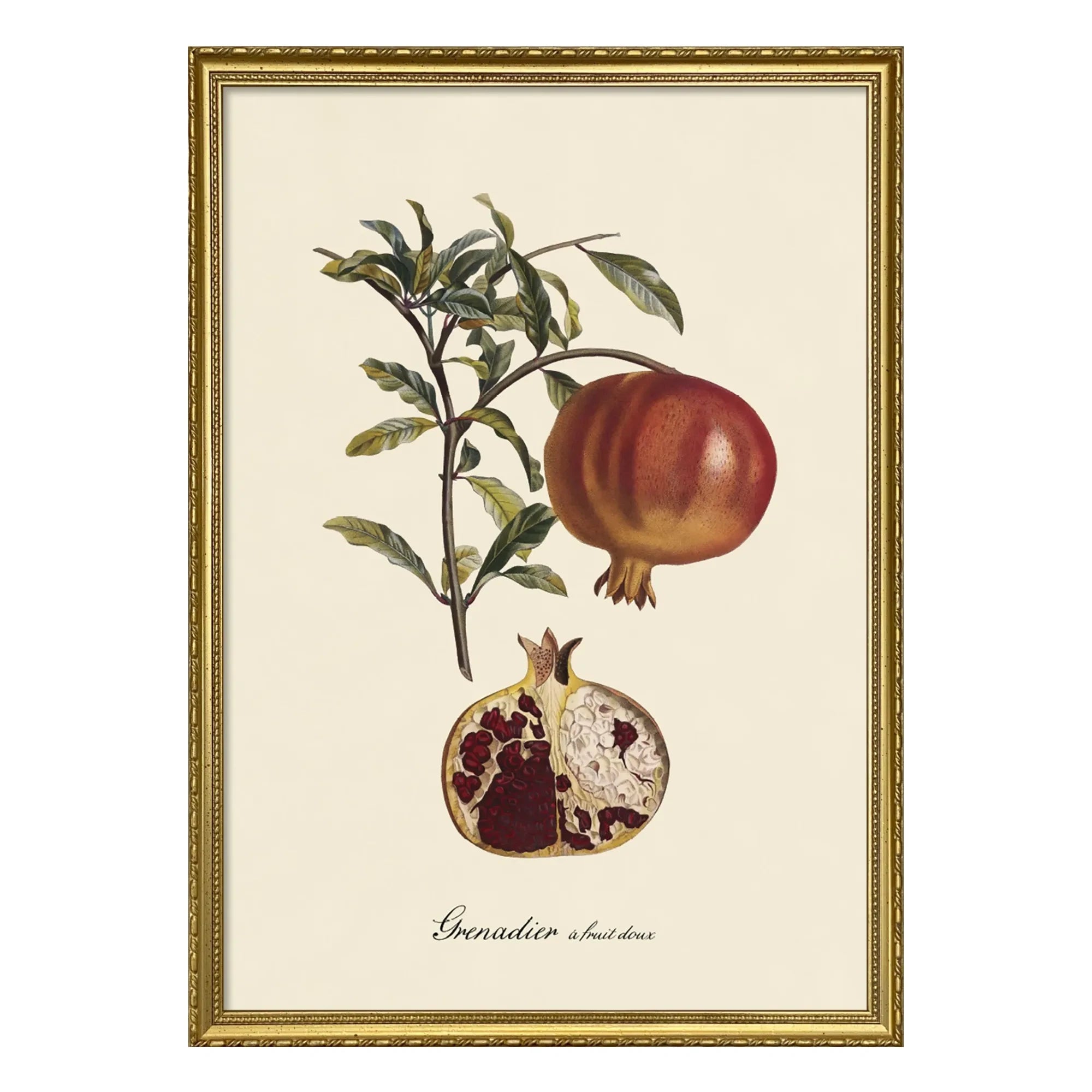 The Dybdahl Co. - Póster de Granada Dulce Frutal