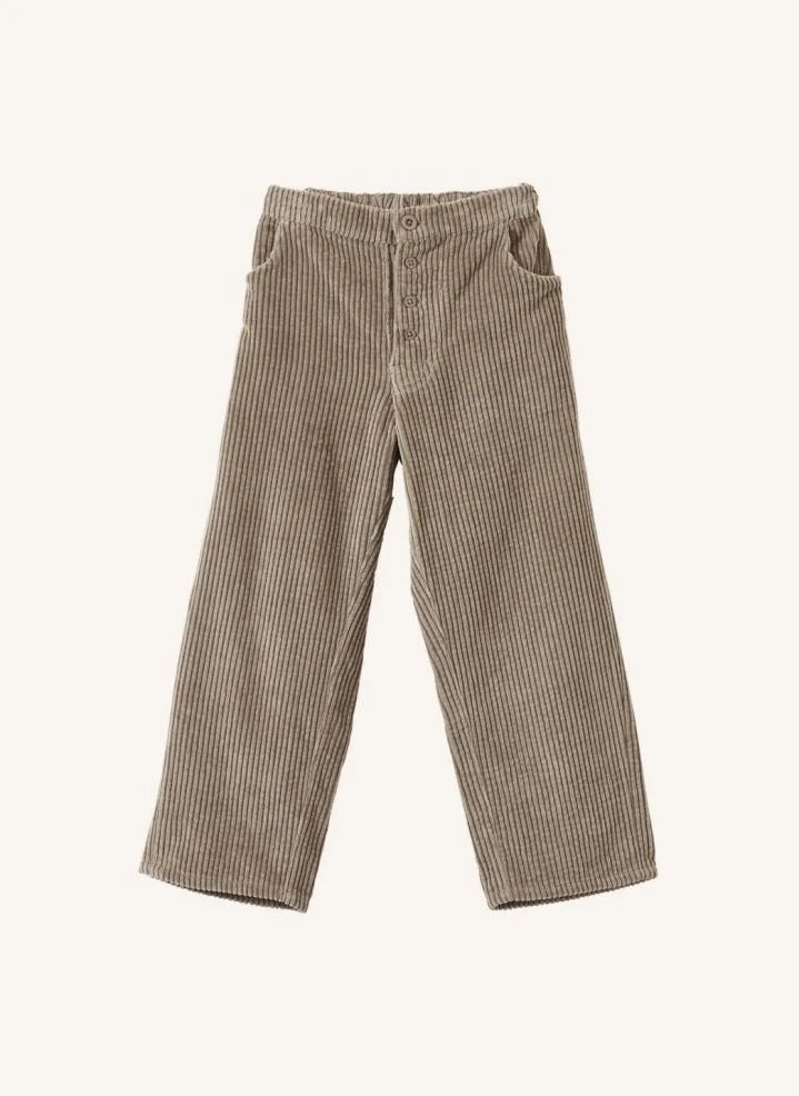 Caramel - Pantalones de terciopelo con pinzas Erodium | Gris