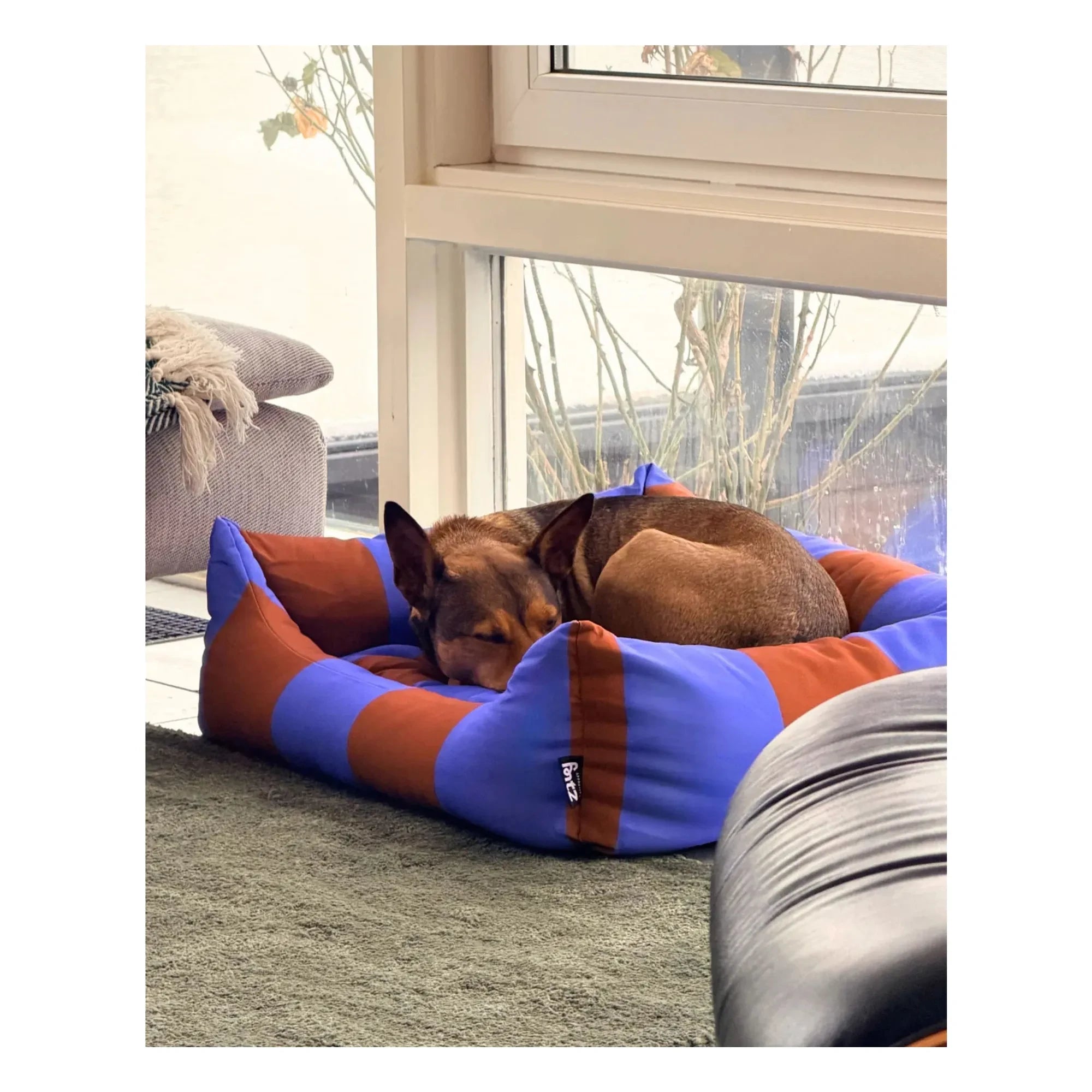 Aprobado por Fritz - Cama para perro a rayas | Morado