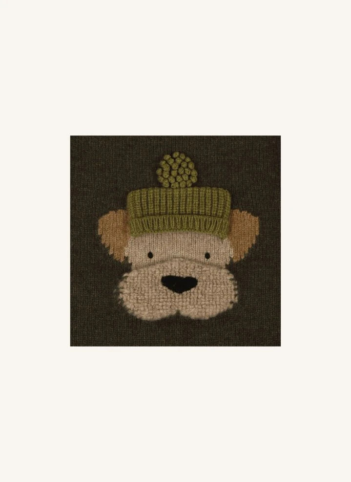 Donsje - Denn Dog Suéter de lana merino | Verde oscuro