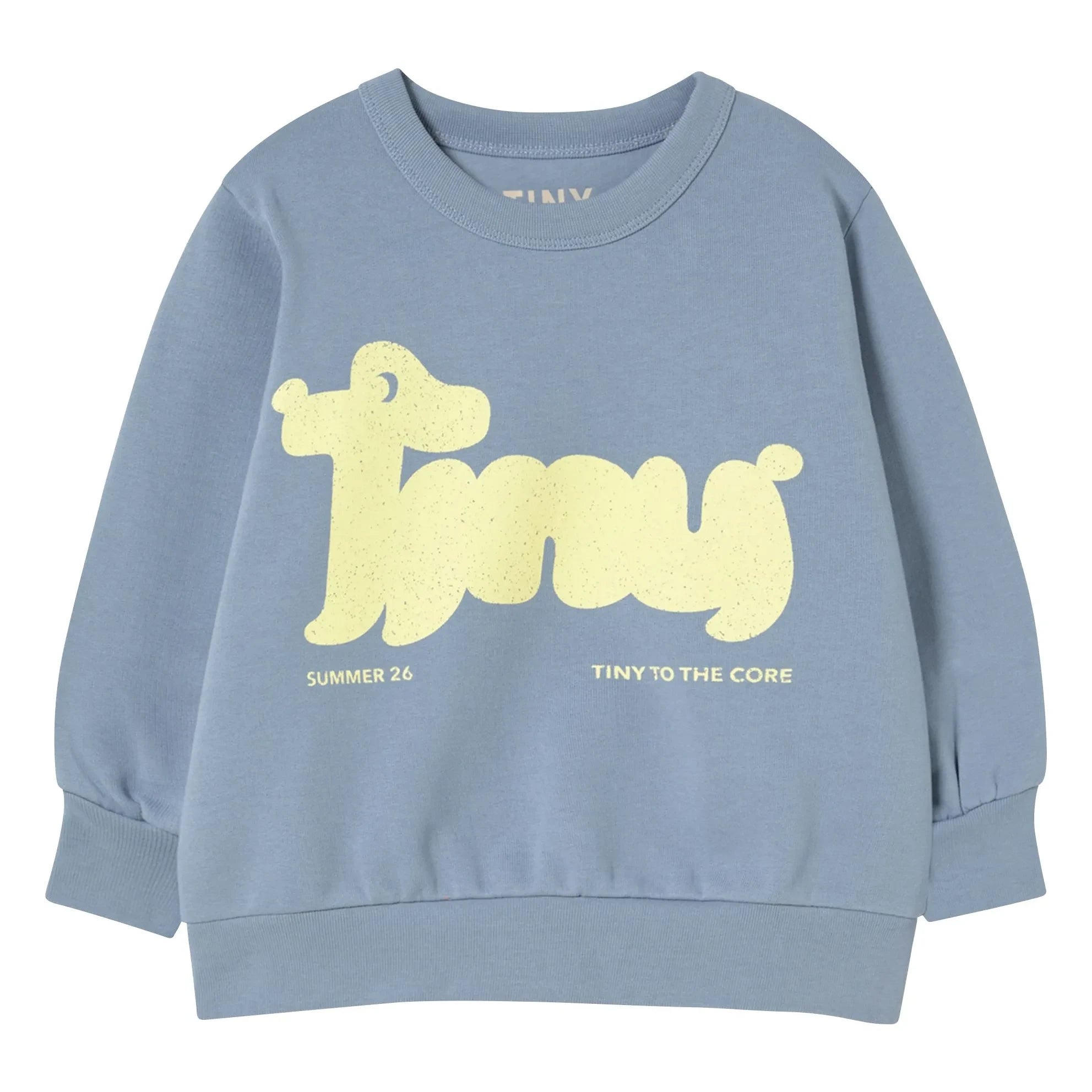 Tinycottons - Sudadera Tiny de algodón orgánico | Gris azulado