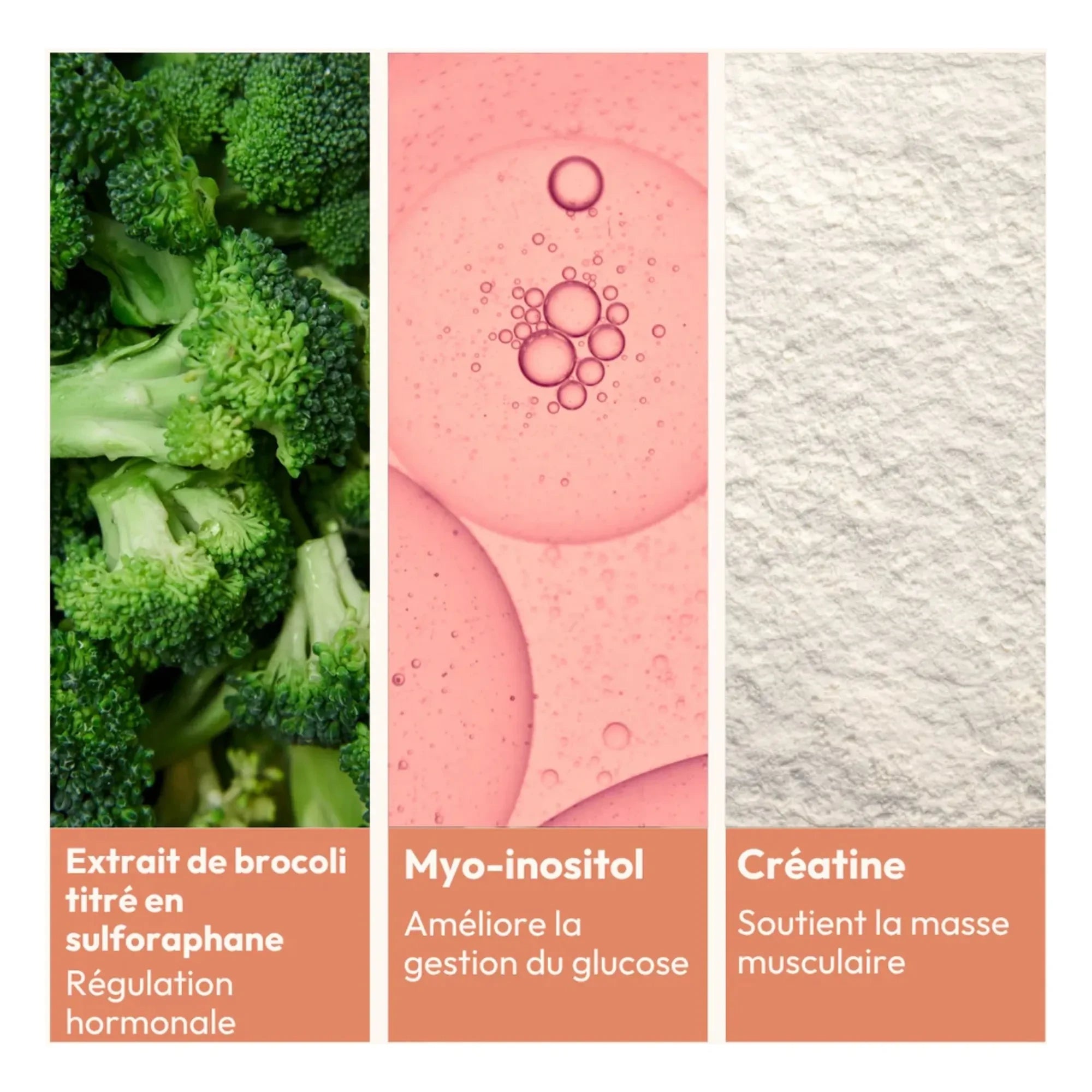 MiYé - Activadores esenciales del metabolismo - 153g