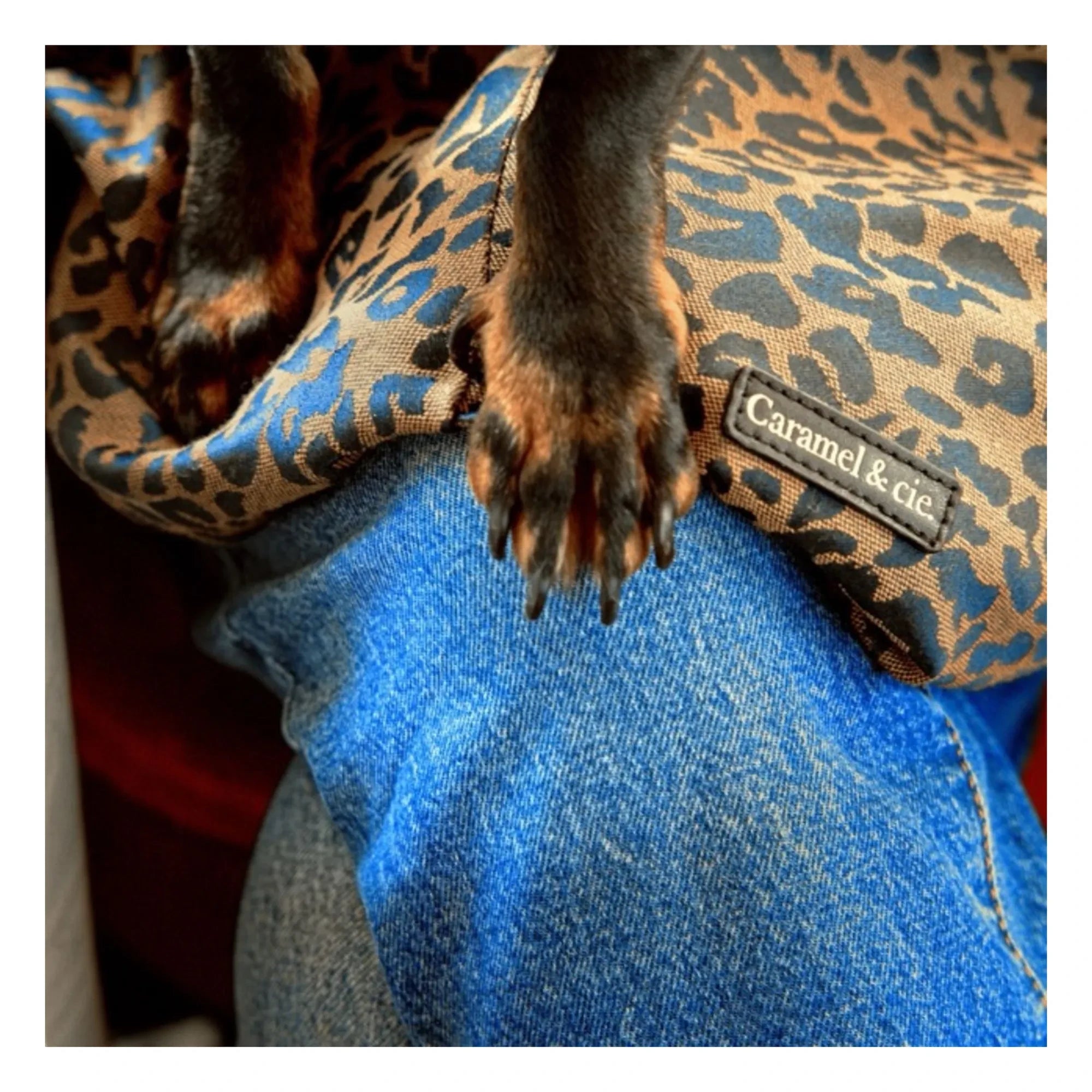Caramel & Cie - Bolso bandolera Promenade con estampado de perro leopardo | Marrón