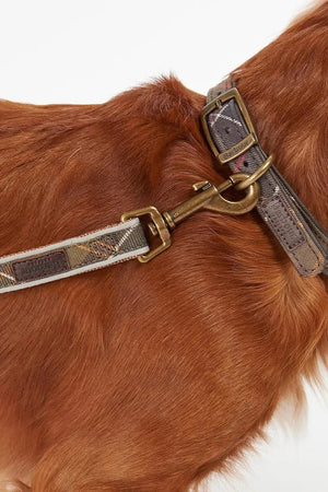 Correa para Perro Reflectante Barbour Tartan 100 cm