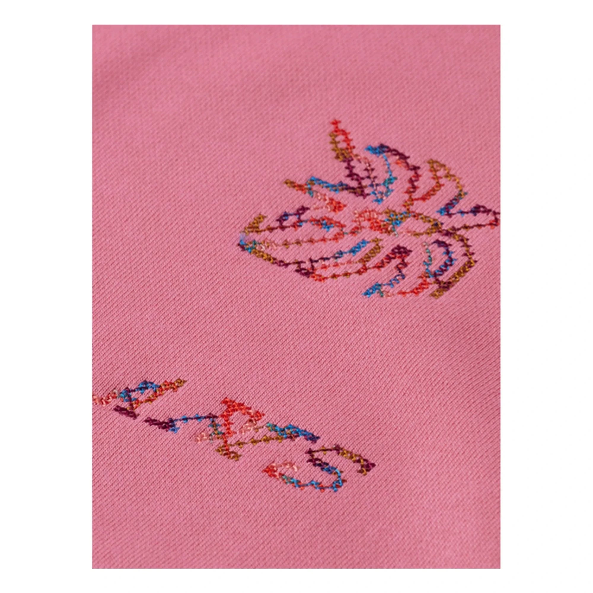 Scotch & Soda - Sudadera bordada con caballos | Rosa