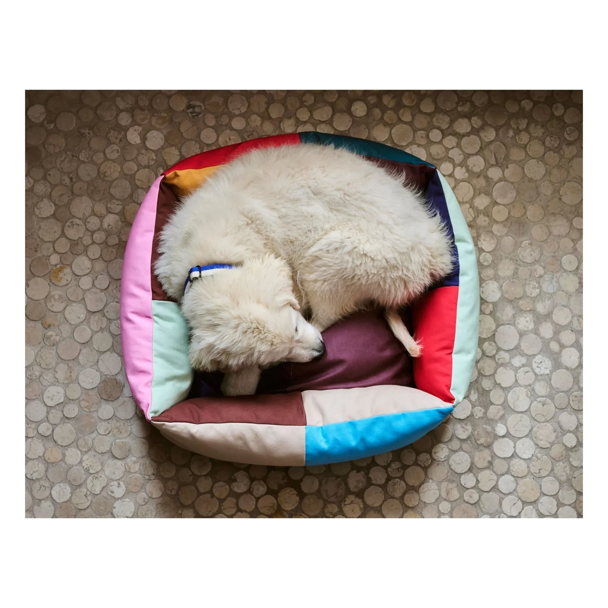 Hay - Cama para perro