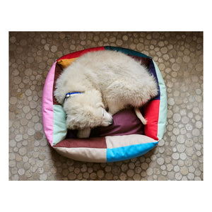 Hay - Cama para perro