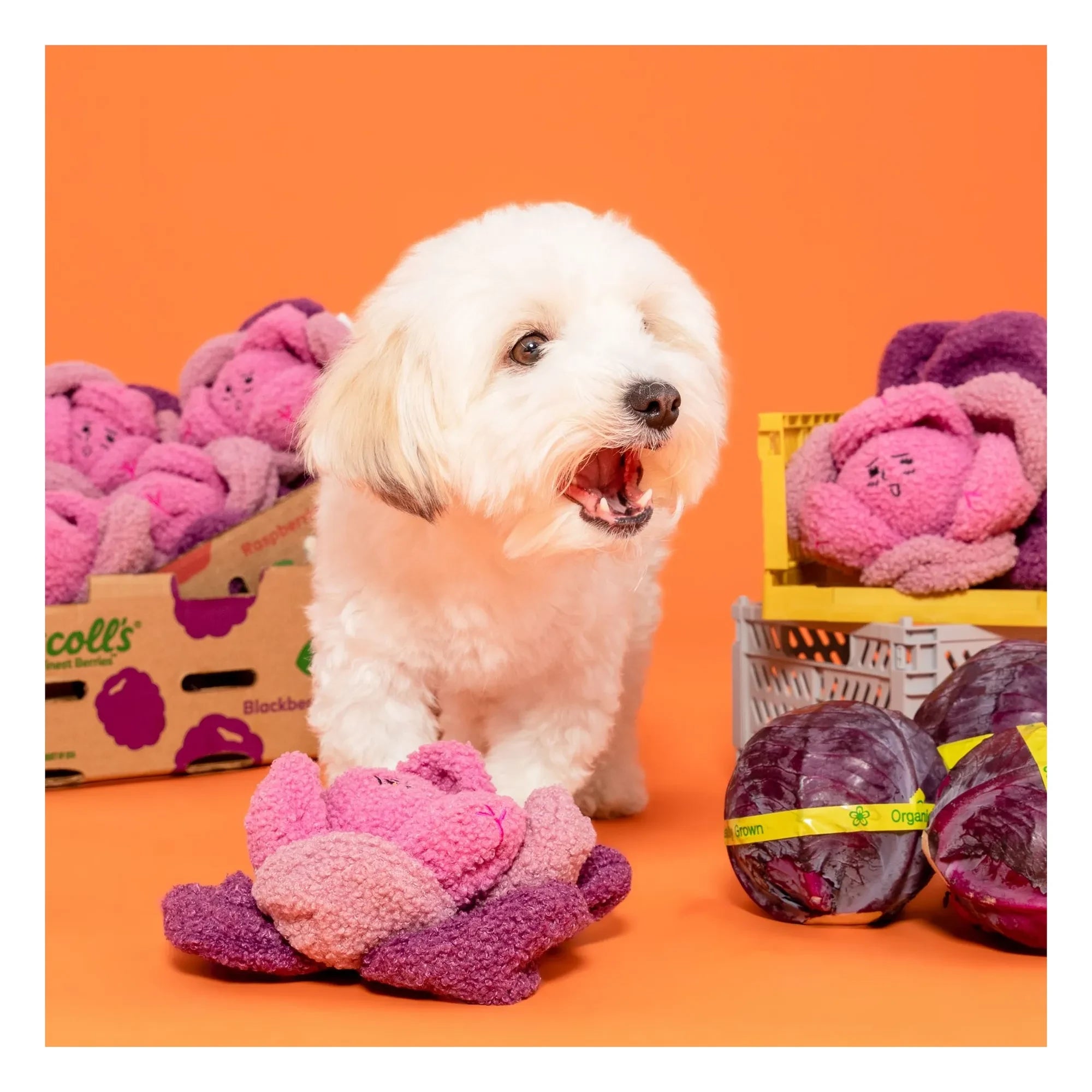 The Furry Folks - Juguete excavador de col roja | Rosa