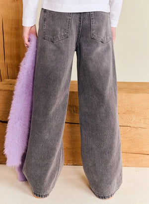 AO76 - Jean Zina Blake | Denim gris