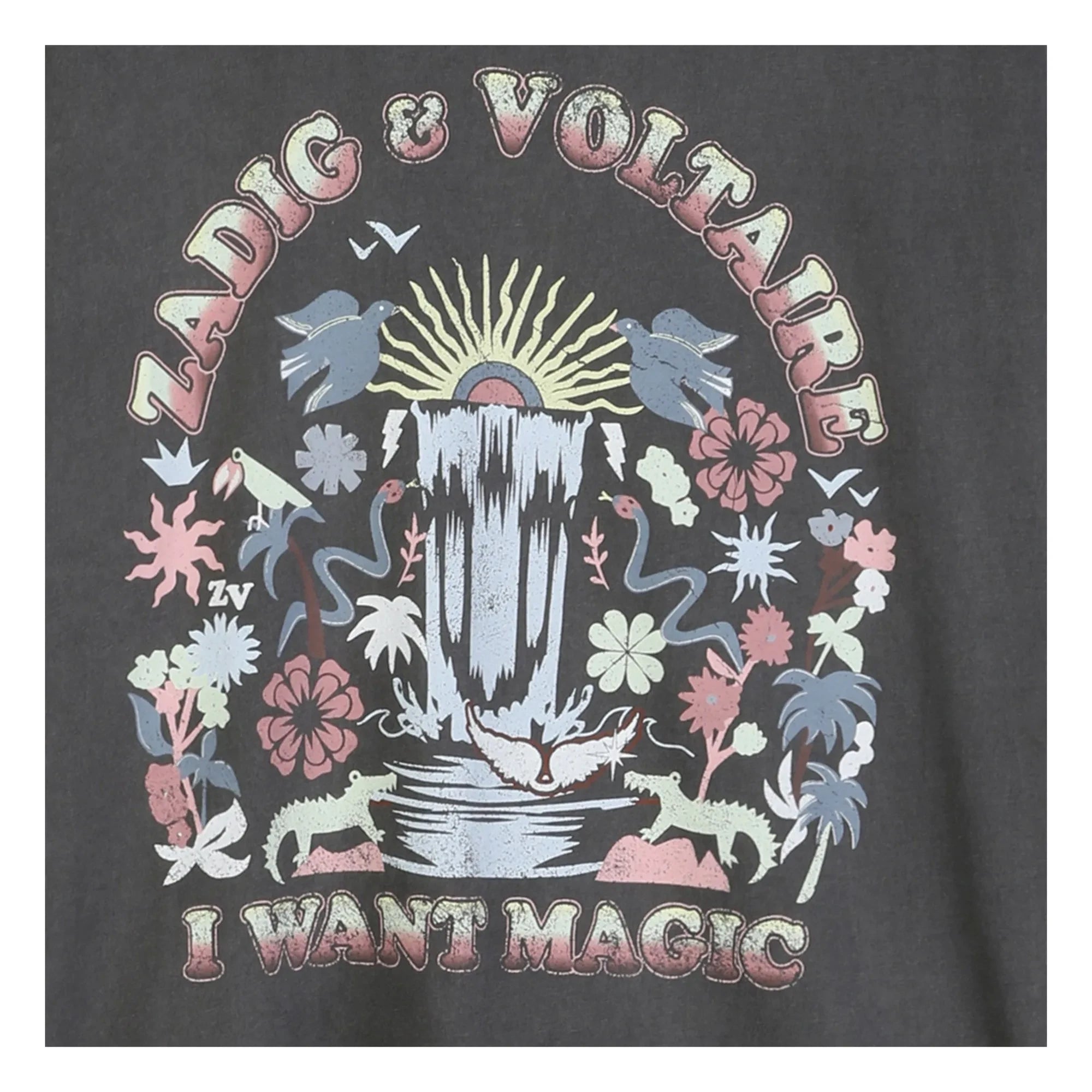 Zadig & Voltaire - Camiseta Extragrande I Want Magic | Gris Oscuro