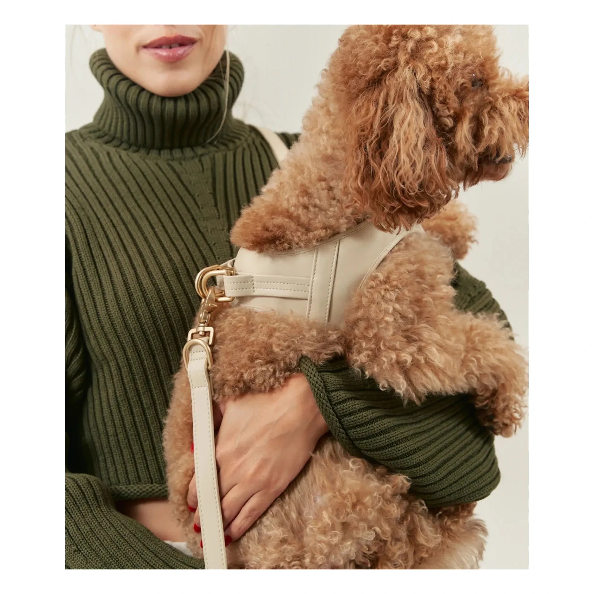 Cafide - Collar de perro de cuero vegano | Beige
