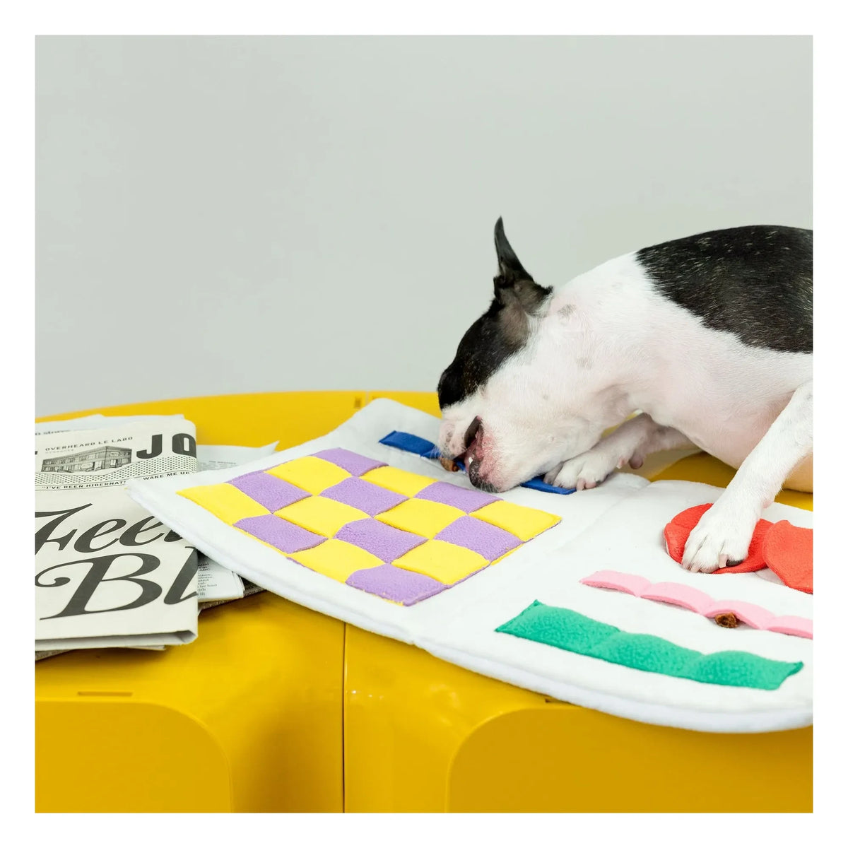 The Furry Folks - Juguete de rascar de periódico multicolor