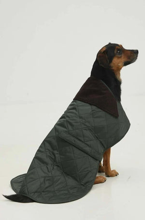 Chaqueta Barbour para Perro