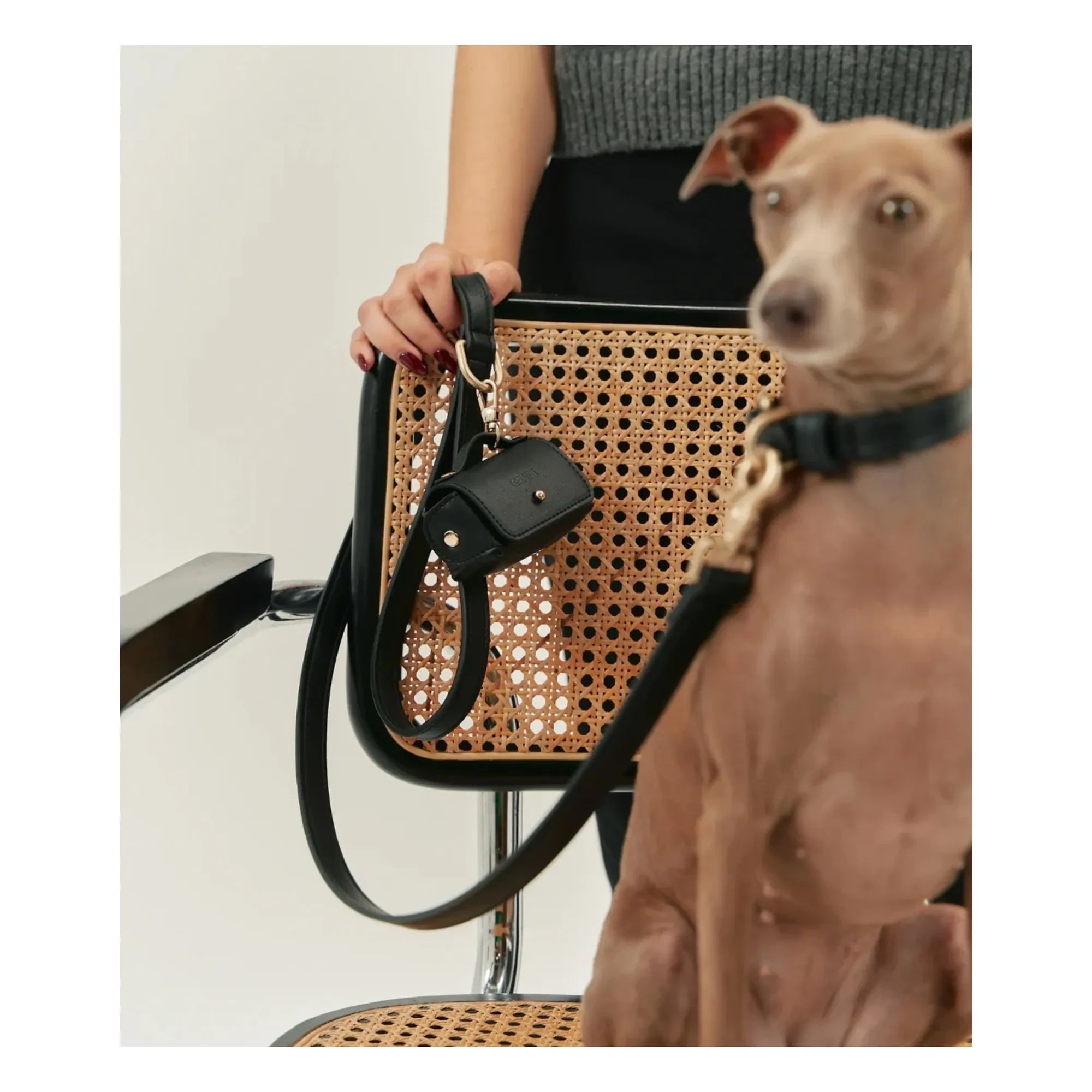 Cafide - Dispensador de bolsas de cuero vegano | Negro