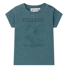 Bonpoint - Camiseta Tom de algodón orgánico | Azul pavo real