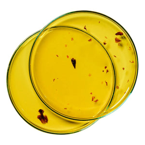 Alaena - Aceite nutritivo de pétalos de rosa - 100 ml