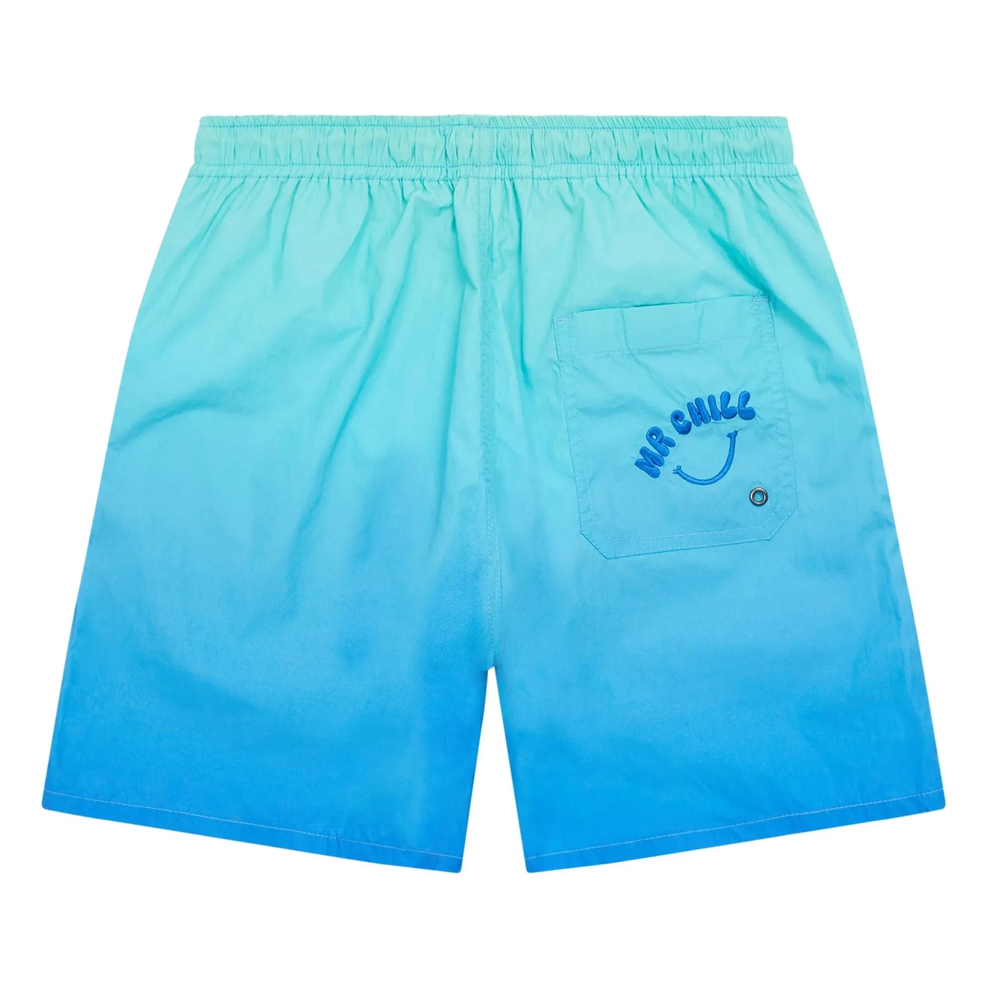 Hundred Pieces - Bañador de natación Wave | Azul Verde