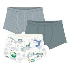 Petit Bateau - 3'lü Organik Pamuklu Dragon Boxer Külot | Yeşil