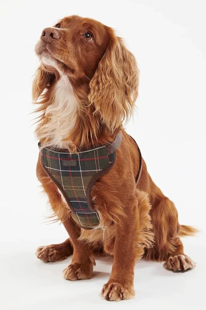 Arnés Barbour Travel And Exercise para perro