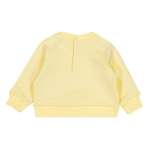 Loir - Sudadera de langosta | Amarillo pálido