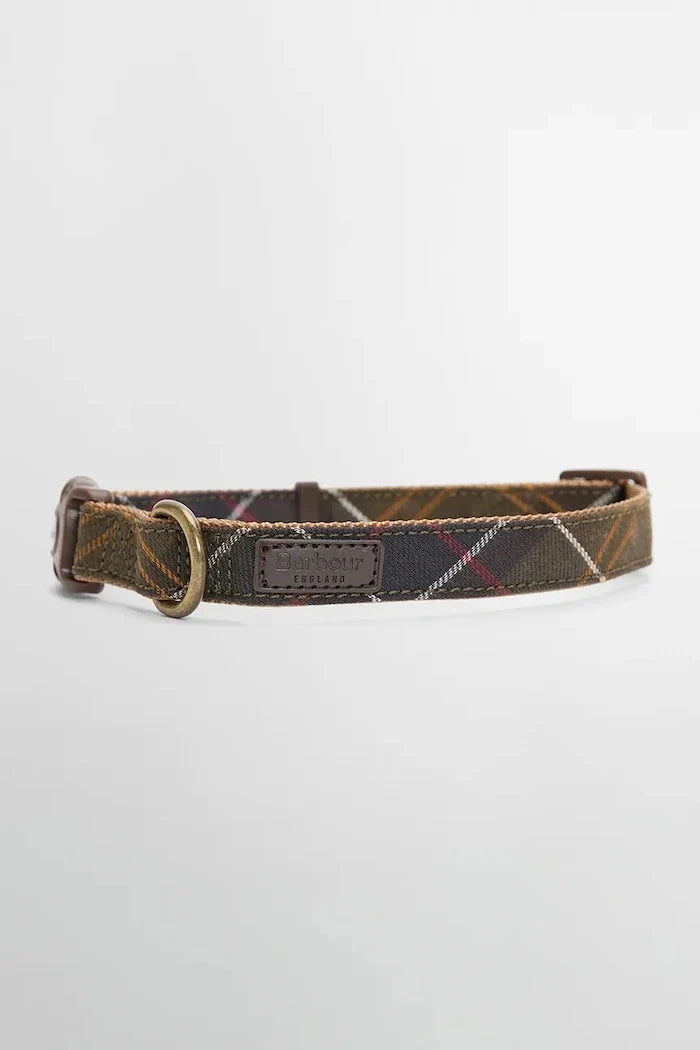 Perro Barbour
