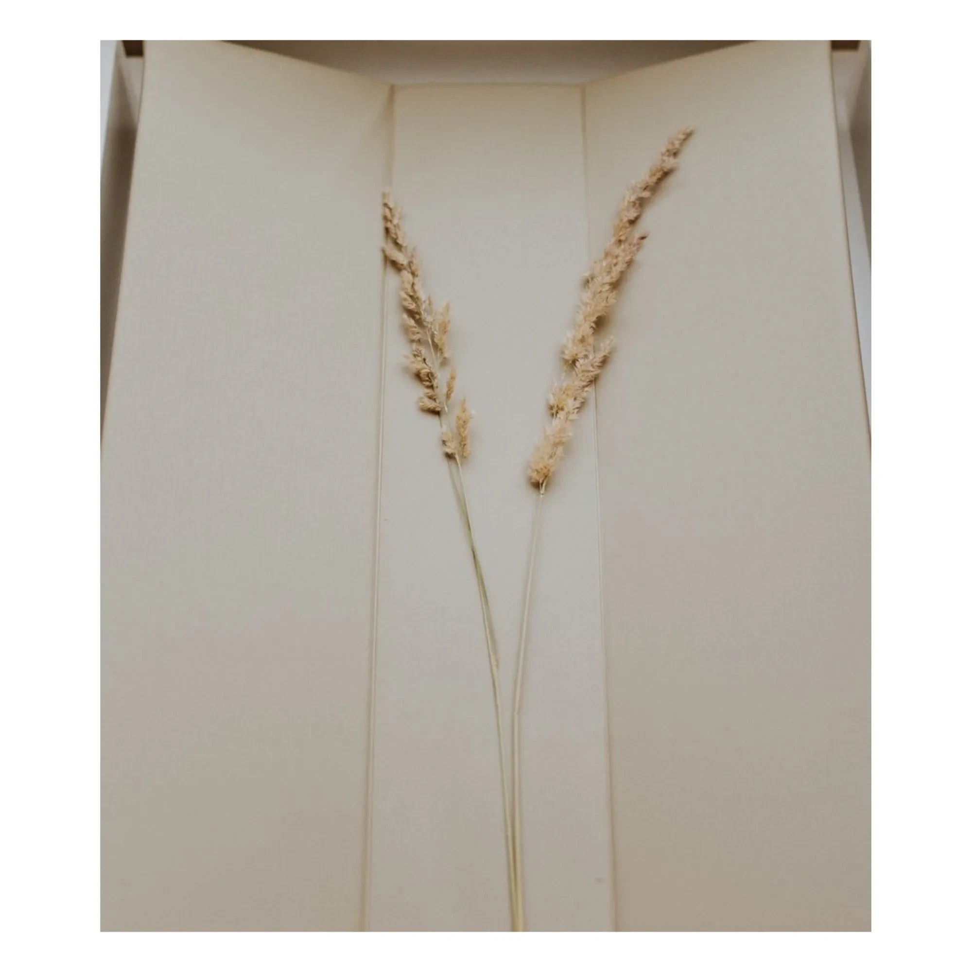 Quax - Cambiador - 67 x 44 cm | Arcilla