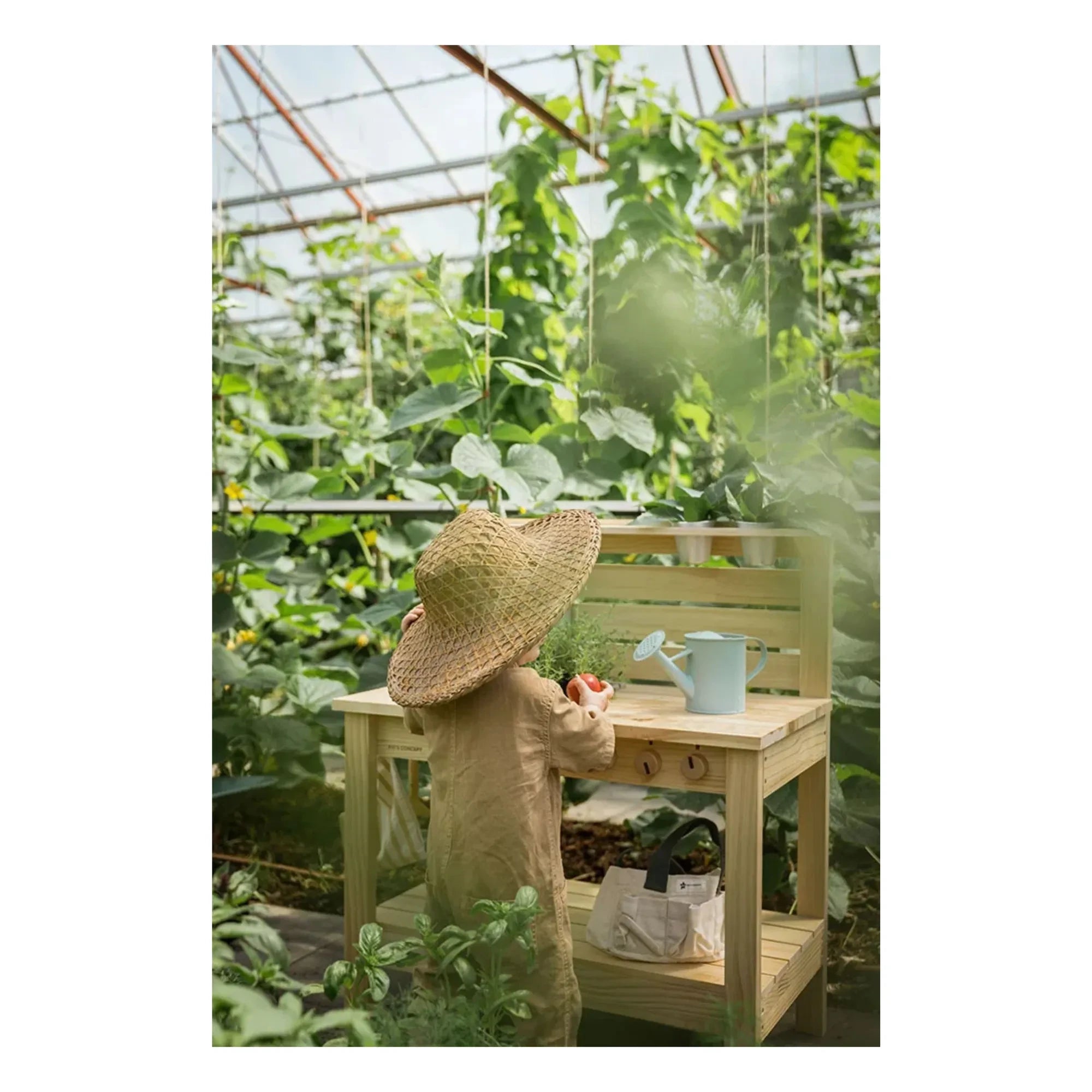 Kid's Concept - Cocina exterior | Pino