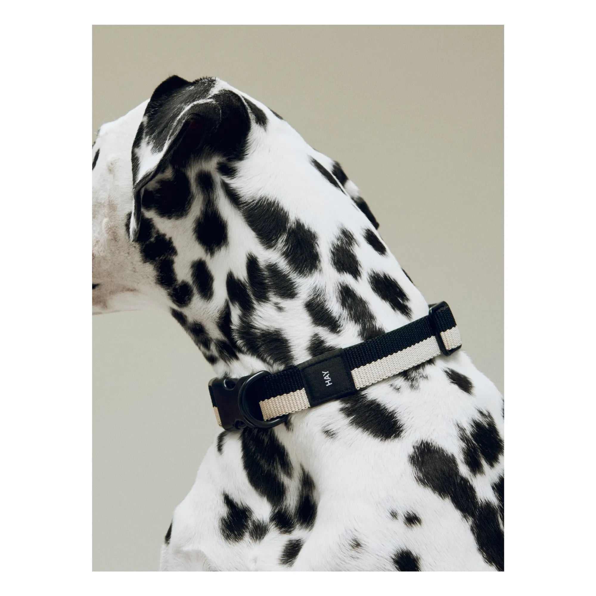 Hola - Collar negro